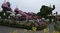 20_Emiraty_476-DUBAJ-Miracle_Garden